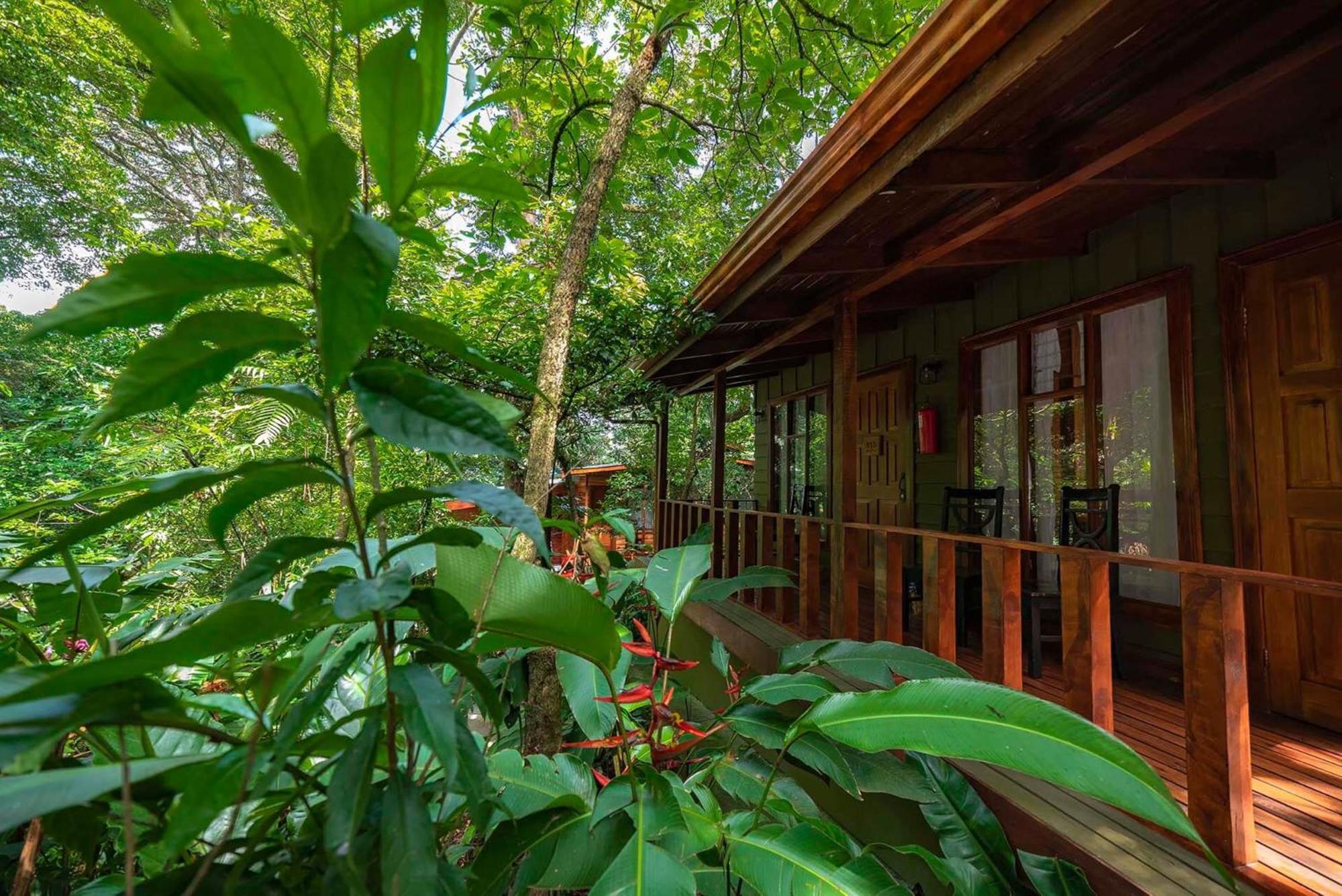 Jaguarundi Jungle Lodge - Monteverde Exterior foto