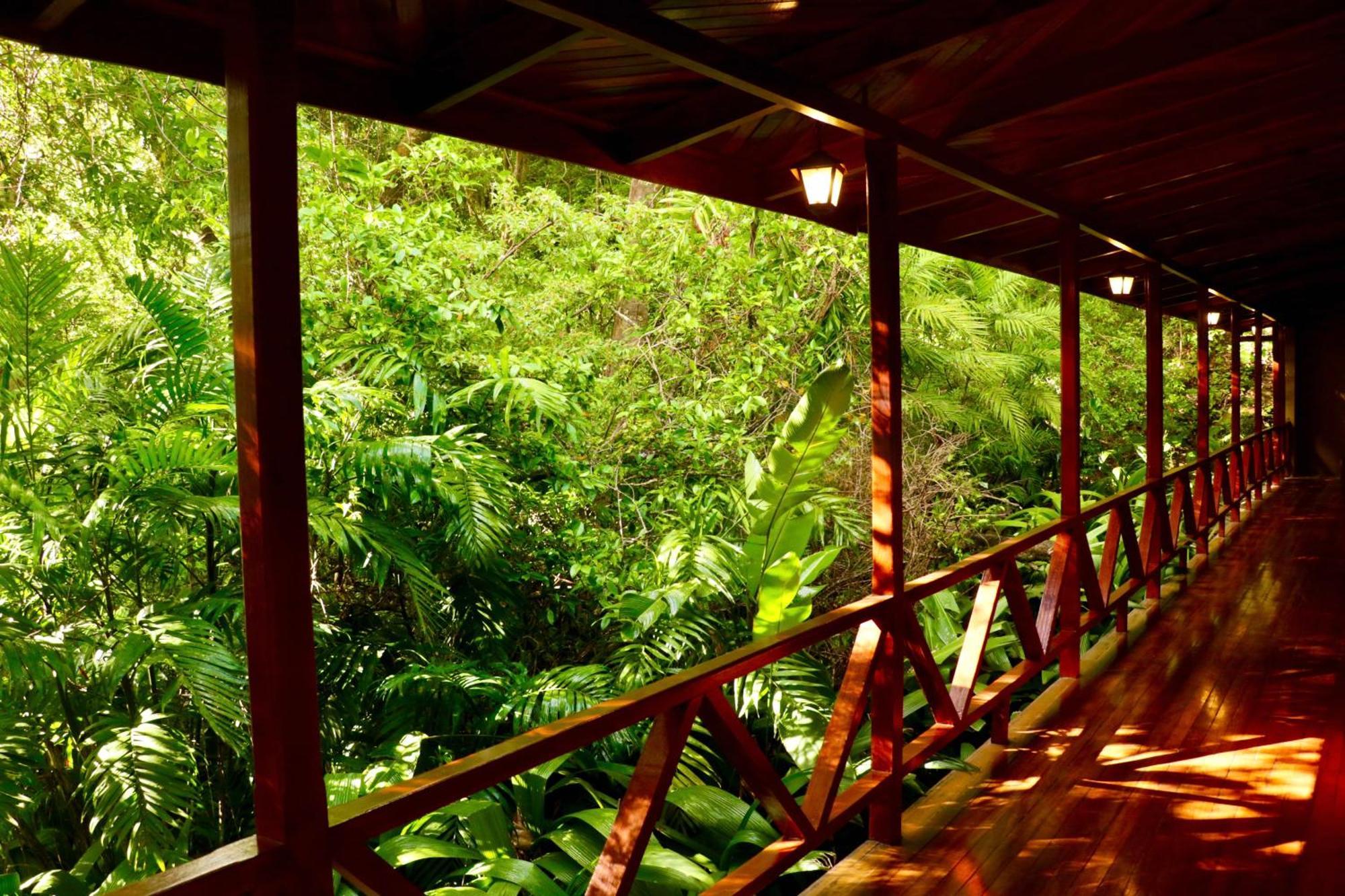 Jaguarundi Jungle Lodge - Monteverde Exterior foto