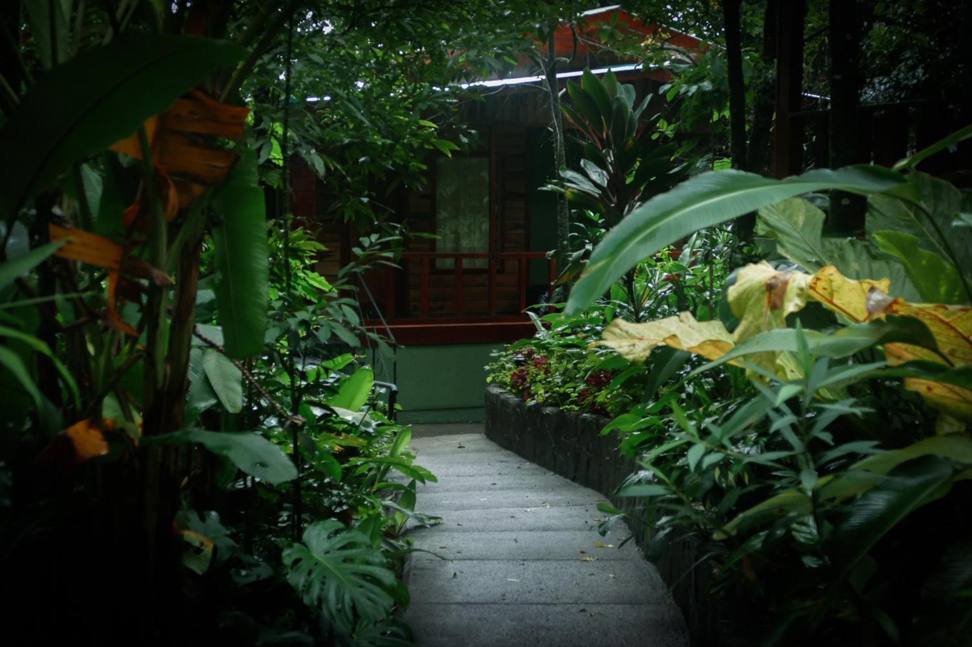Jaguarundi Jungle Lodge - Monteverde Exterior foto