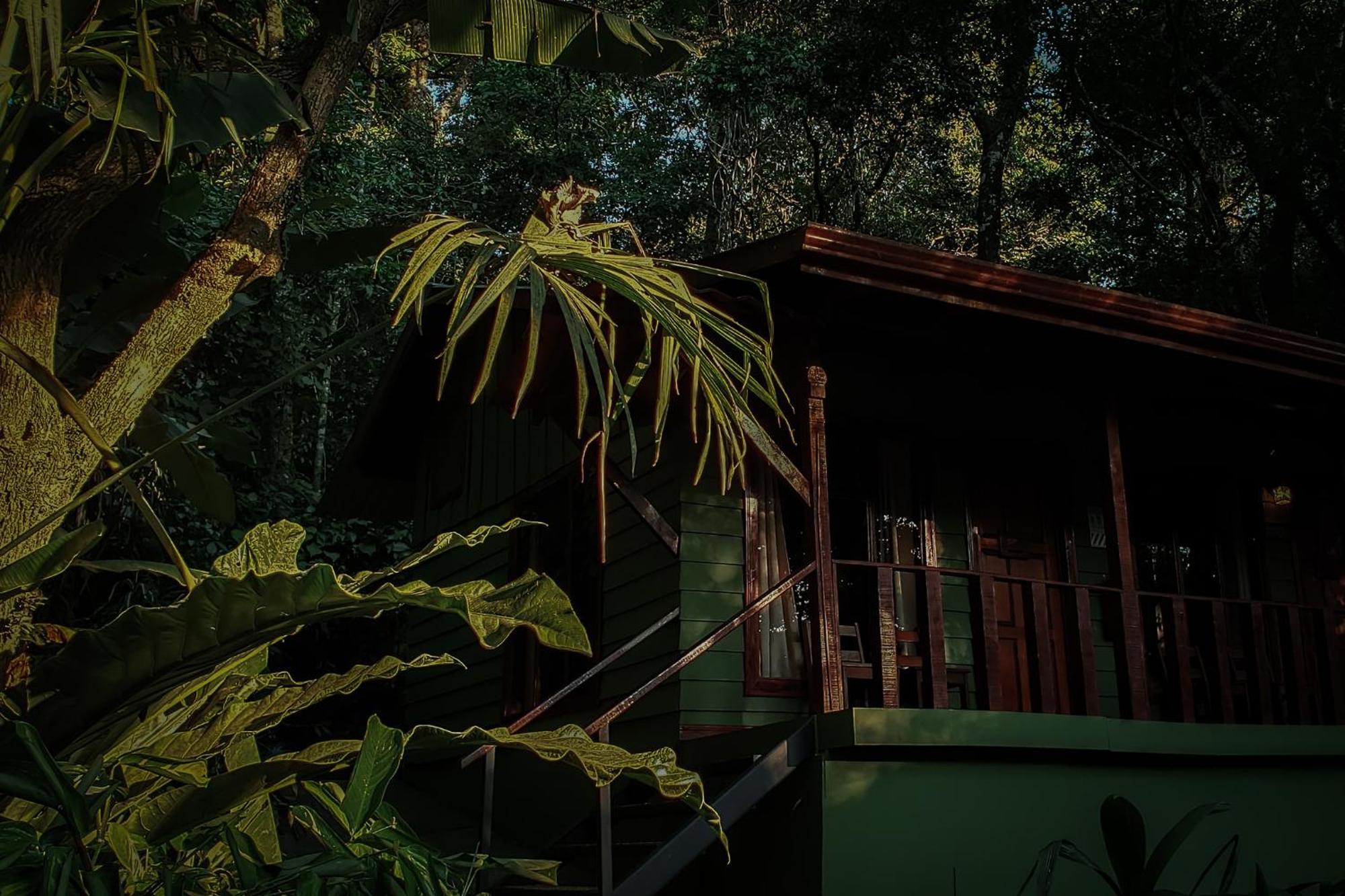 Jaguarundi Jungle Lodge - Monteverde Exterior foto