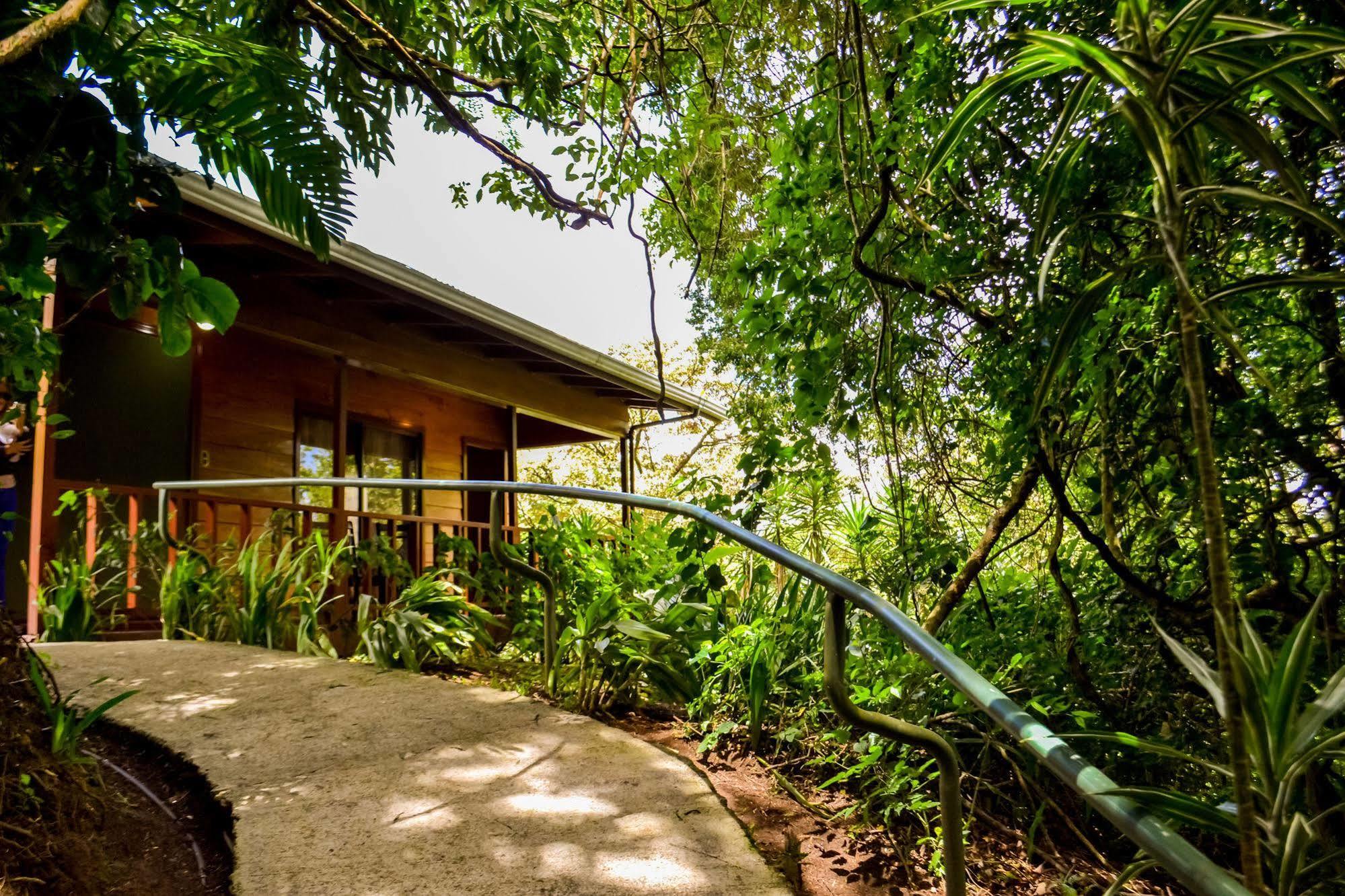 Jaguarundi Jungle Lodge - Monteverde Exterior foto