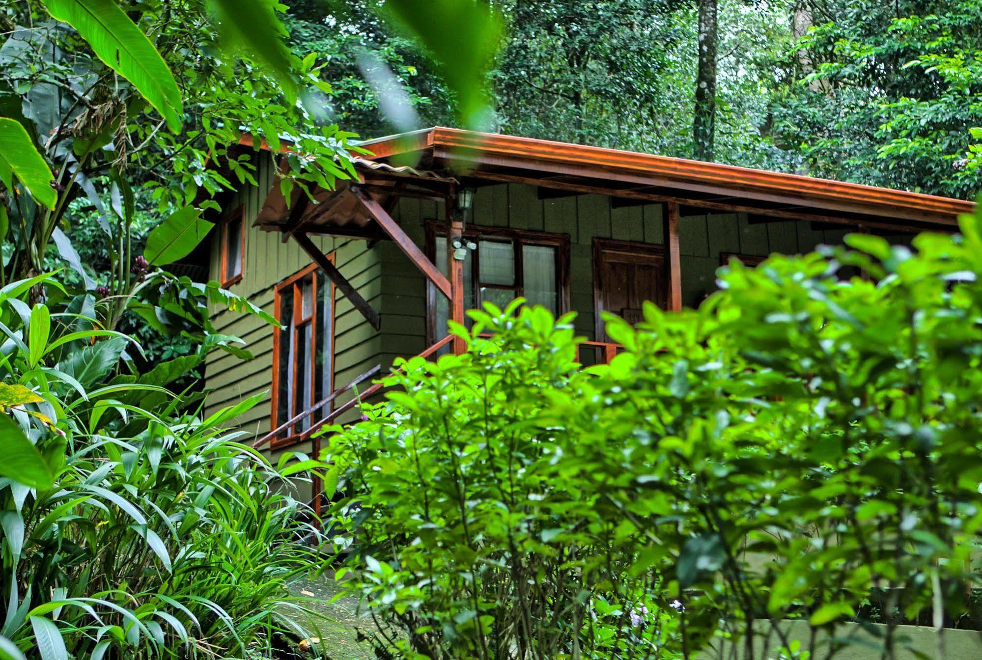 Jaguarundi Jungle Lodge - Monteverde Exterior foto