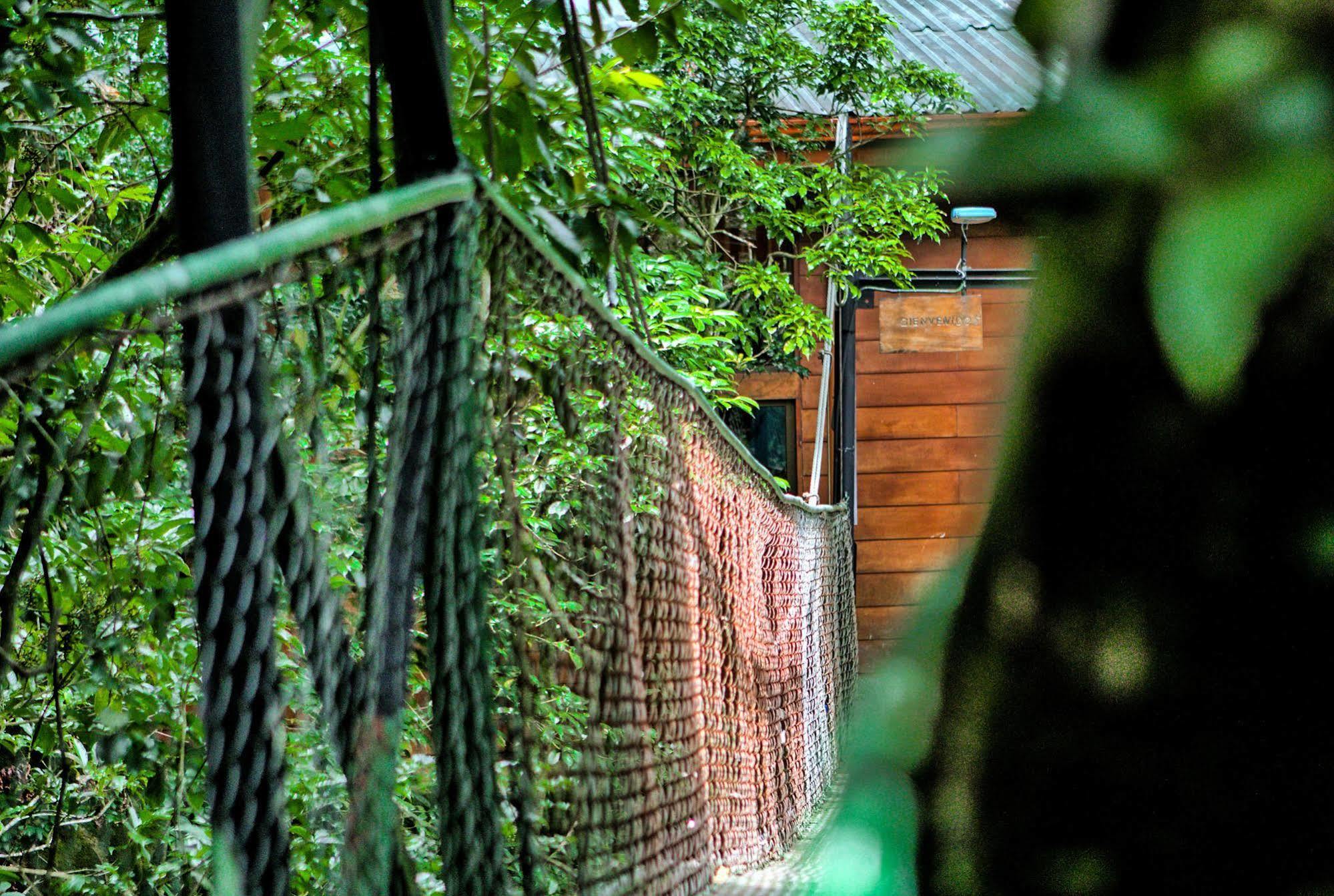 Jaguarundi Jungle Lodge - Monteverde Exterior foto