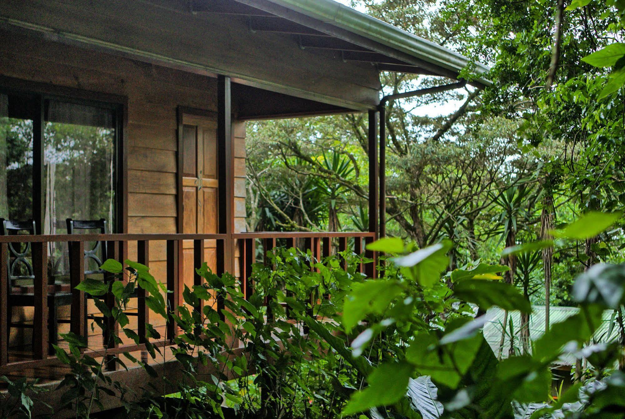 Jaguarundi Jungle Lodge - Monteverde Exterior foto