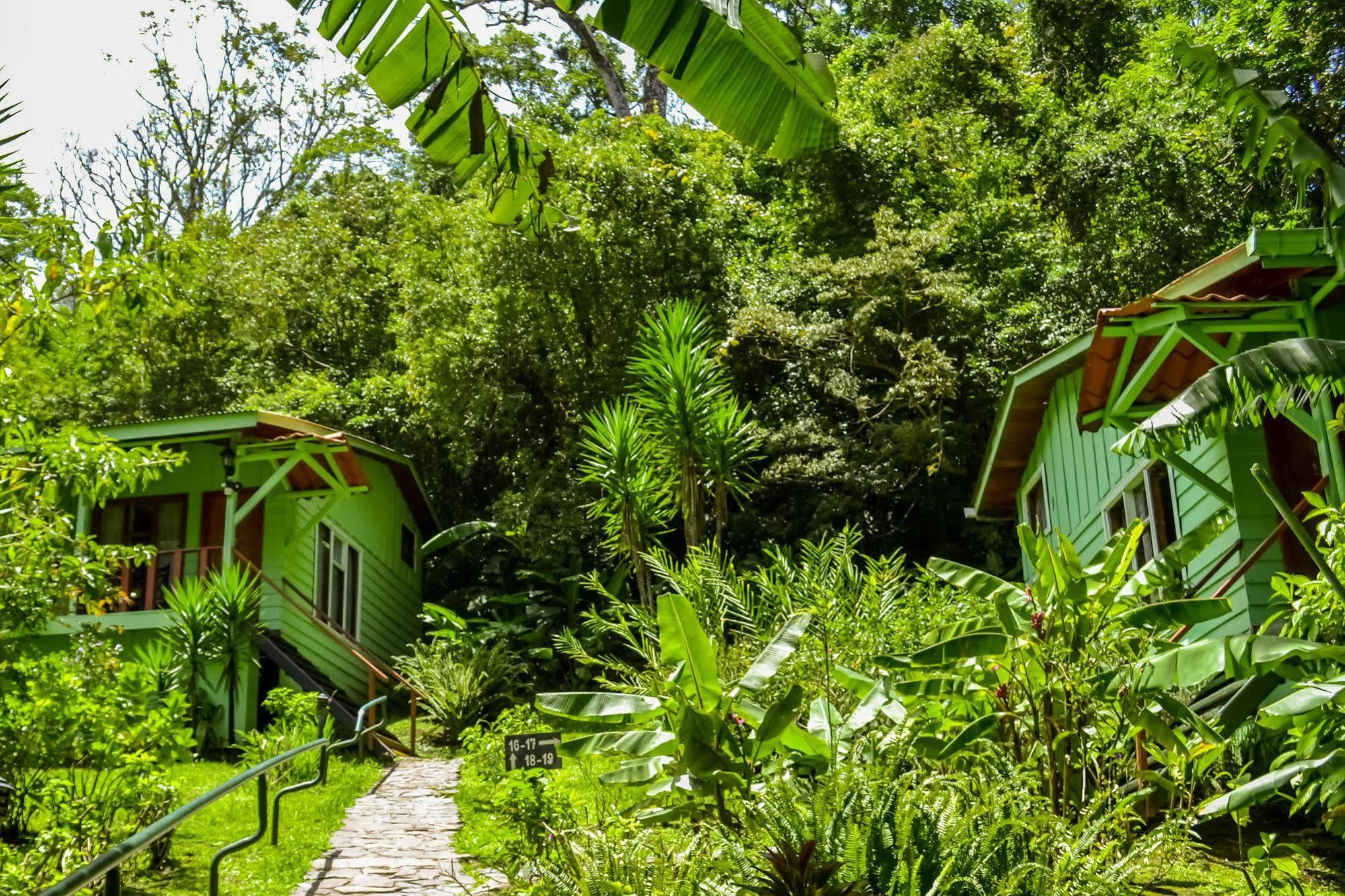 Jaguarundi Jungle Lodge - Monteverde Exterior foto