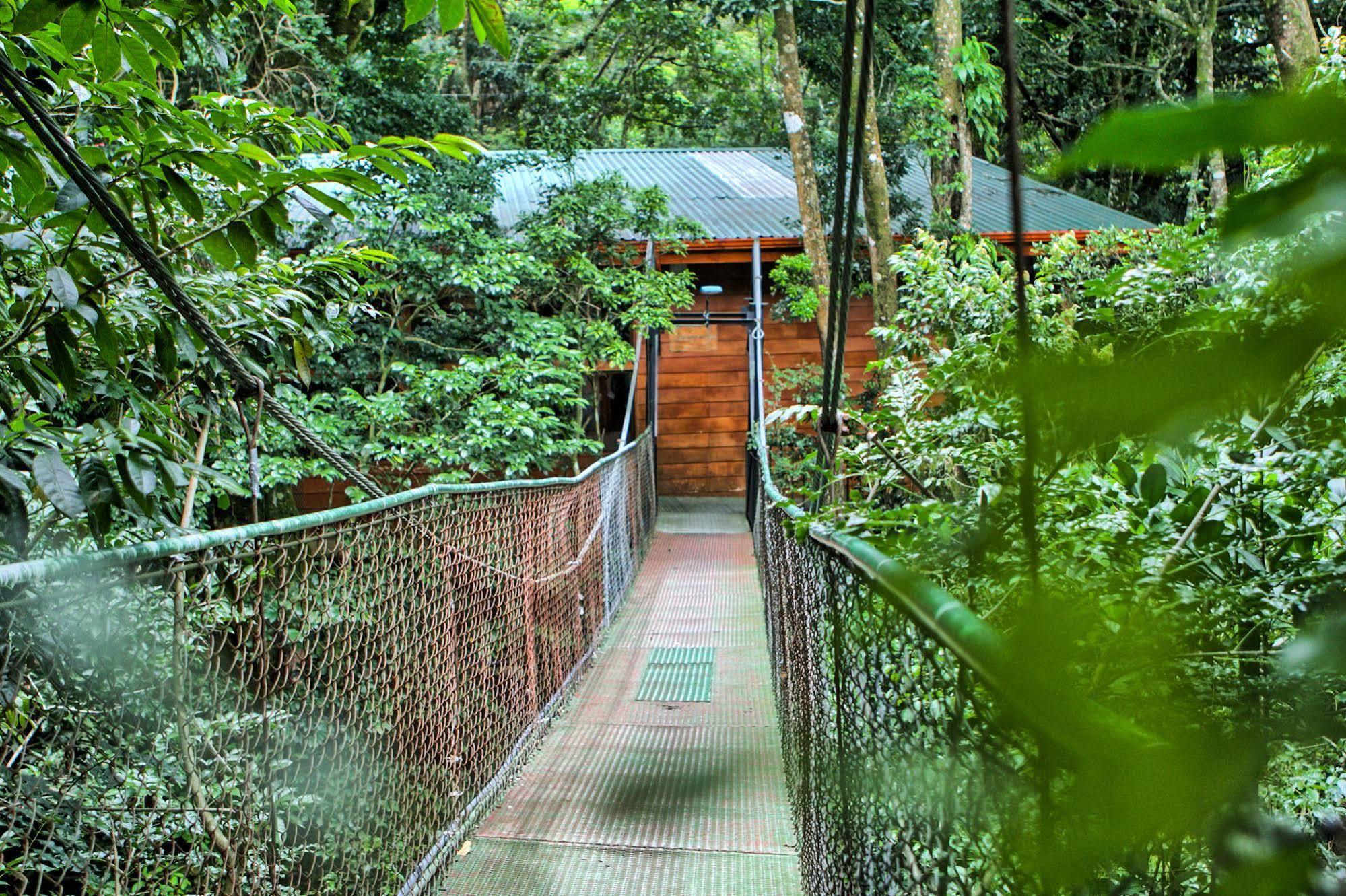 Jaguarundi Jungle Lodge - Monteverde Exterior foto