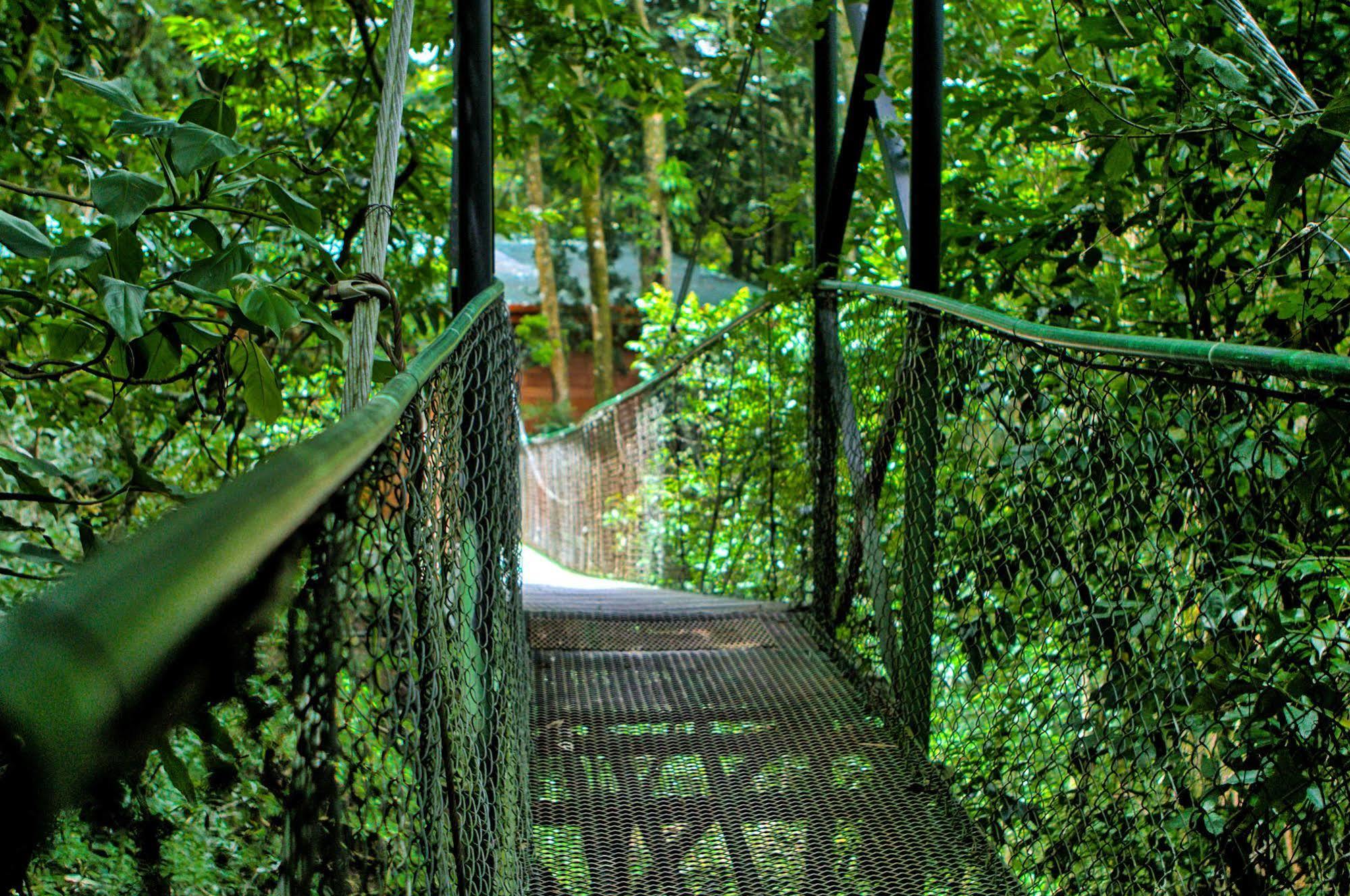 Jaguarundi Jungle Lodge - Monteverde Exterior foto