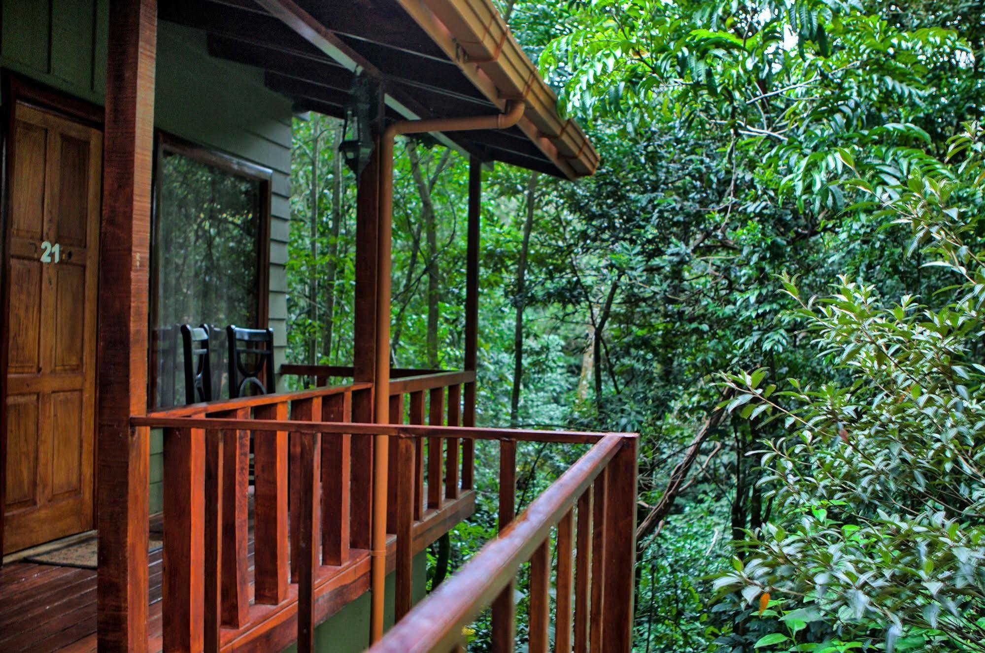Jaguarundi Jungle Lodge - Monteverde Exterior foto