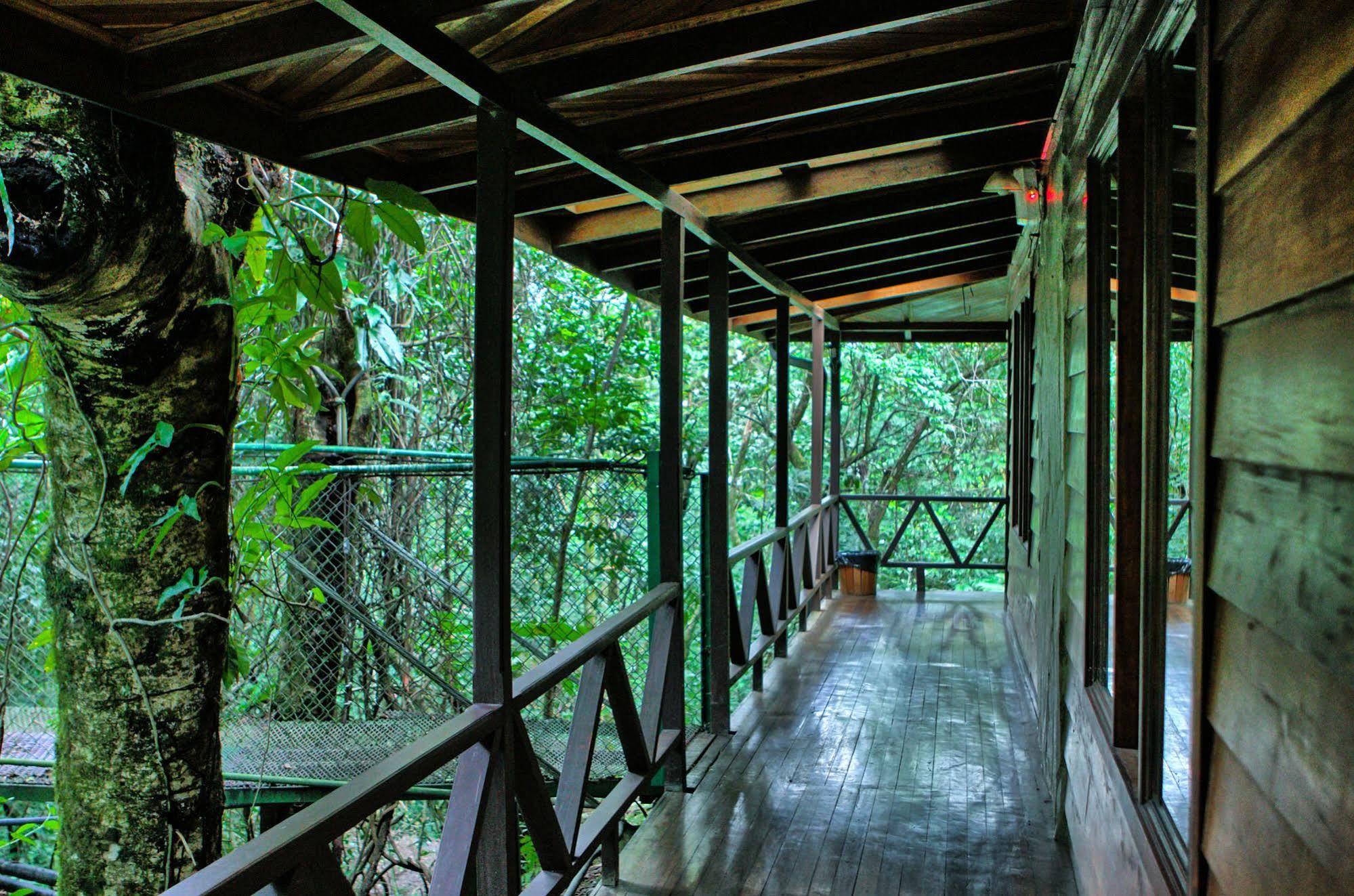 Jaguarundi Jungle Lodge - Monteverde Exterior foto