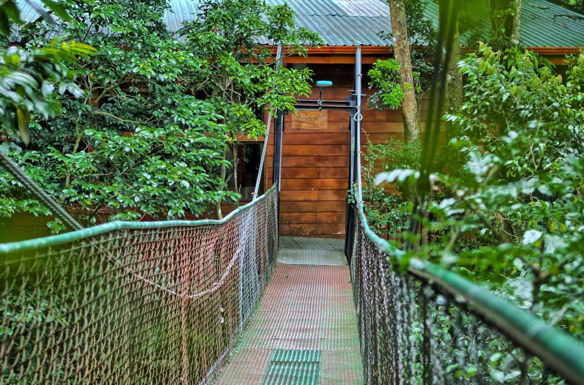 Jaguarundi Jungle Lodge - Monteverde Exterior foto