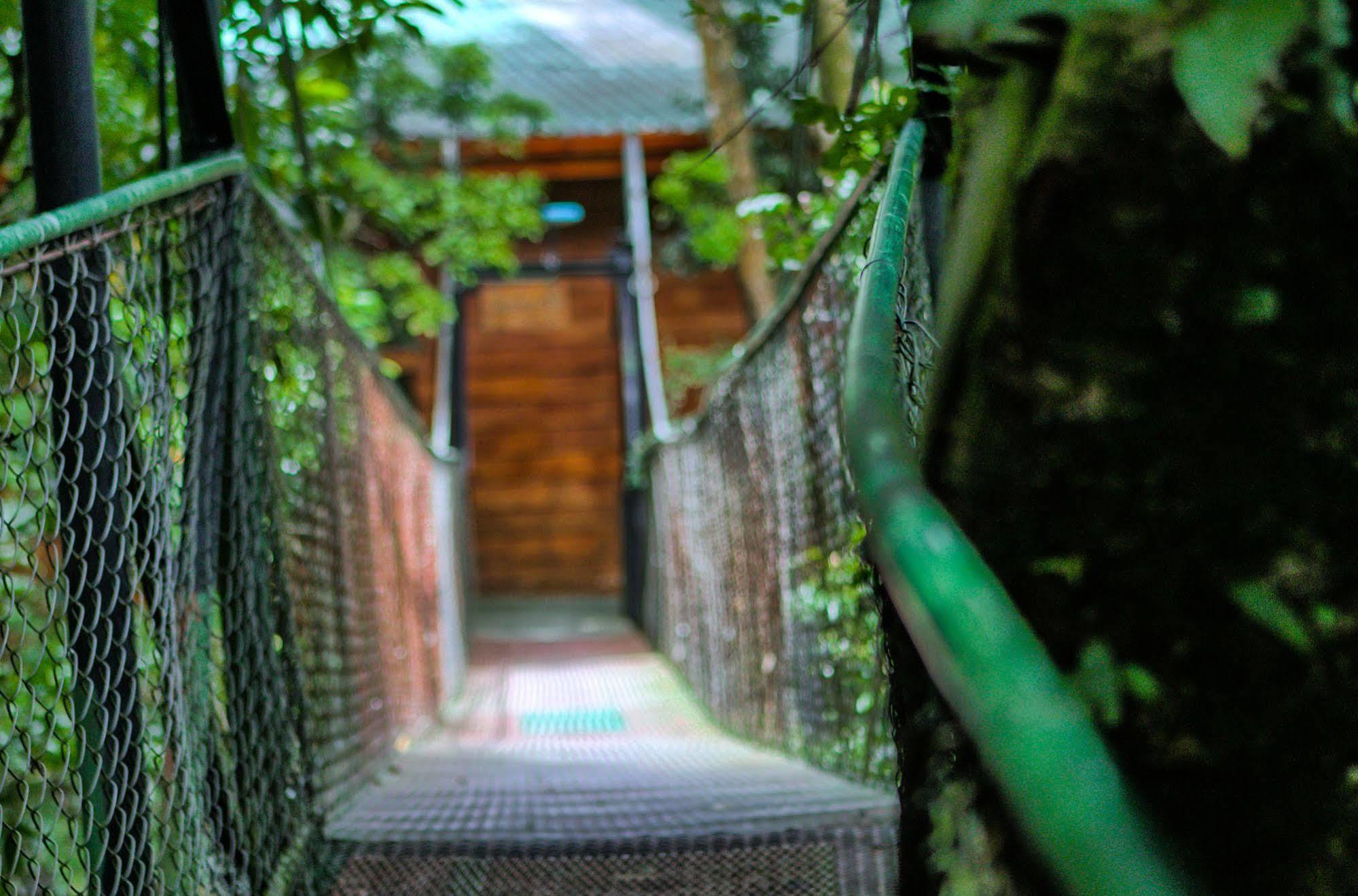 Jaguarundi Jungle Lodge - Monteverde Exterior foto