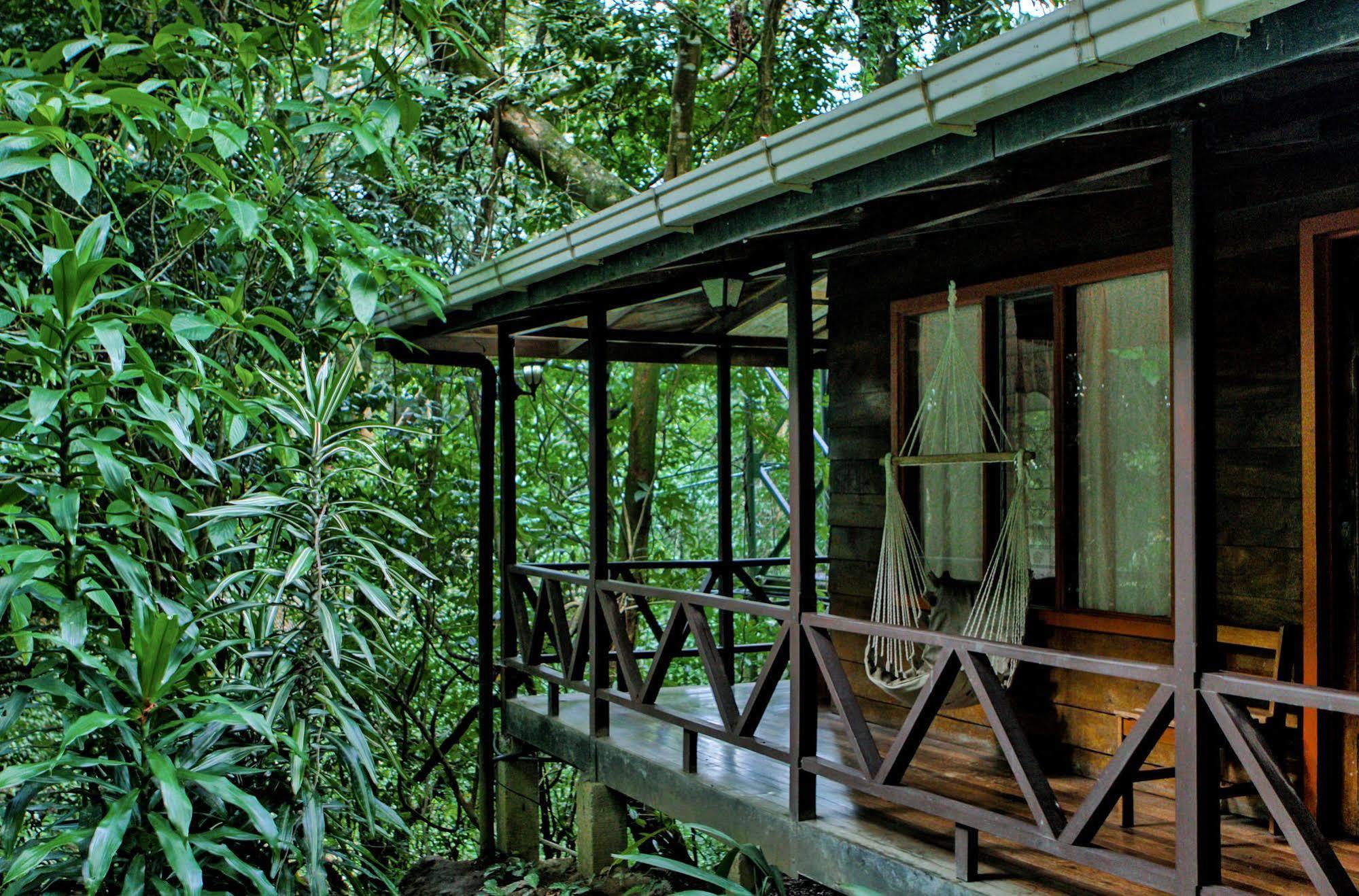 Jaguarundi Jungle Lodge - Monteverde Exterior foto