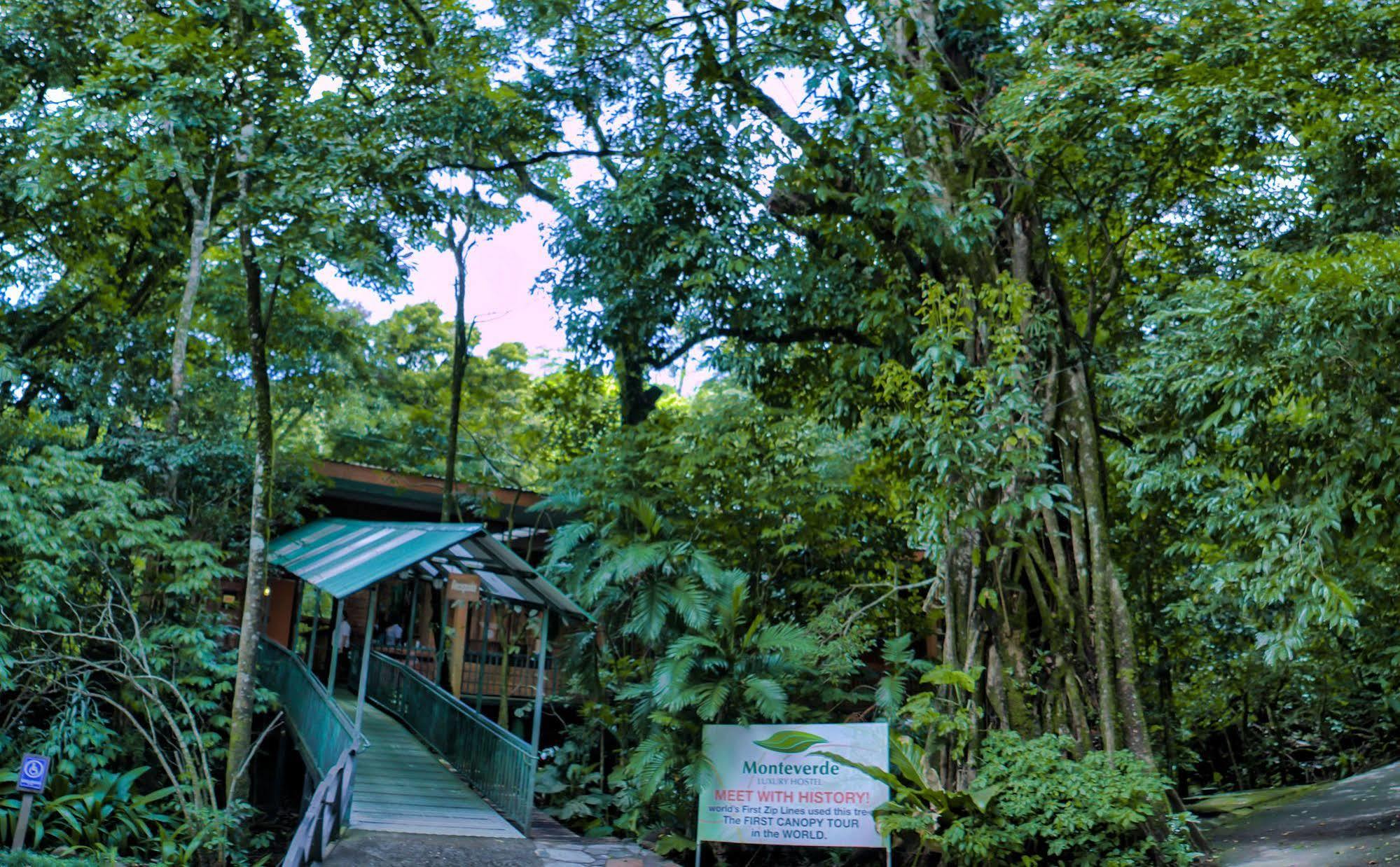 Jaguarundi Jungle Lodge - Monteverde Exterior foto