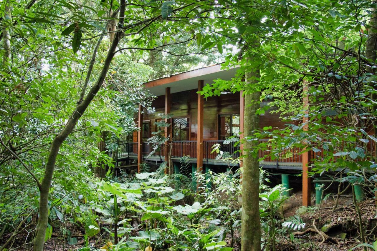 Jaguarundi Jungle Lodge - Monteverde Exterior foto
