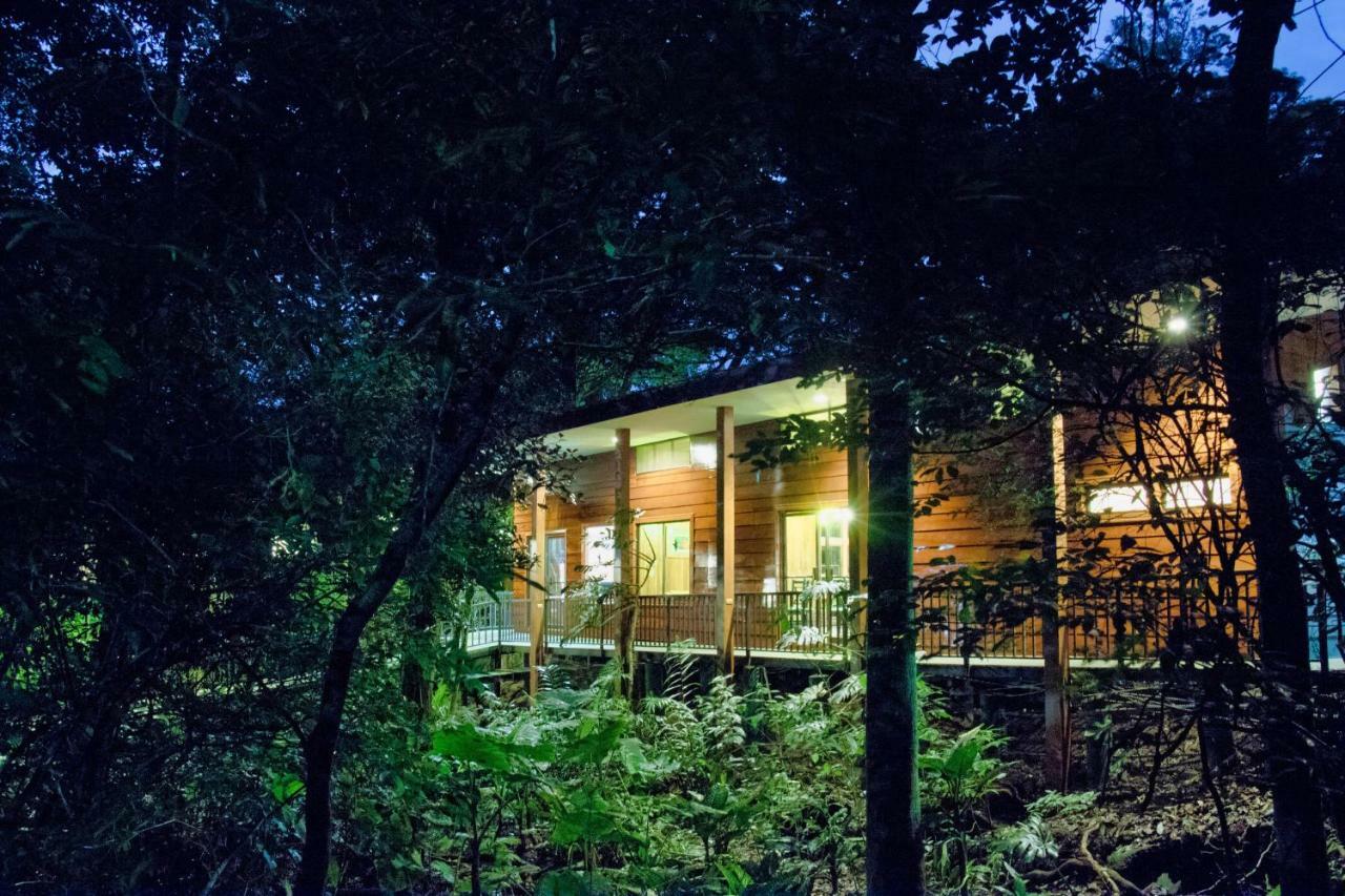 Jaguarundi Jungle Lodge - Monteverde Exterior foto
